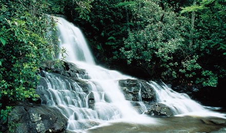 Guided Tour - Smoky Mountain Park